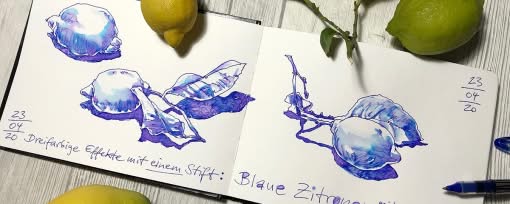 Sketching Basics — frische Skizzen aus der Küche